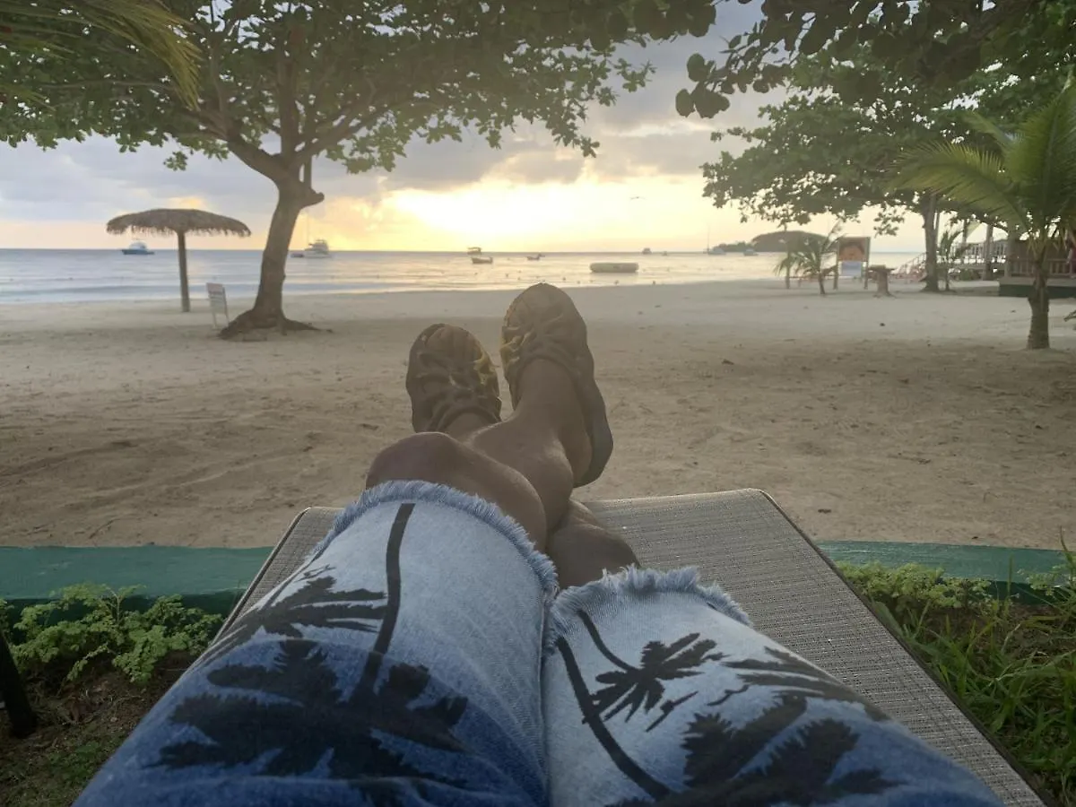 فيلة King Suite At Oceanview Resort In Jamaica - Enjoy 7 Miles Of White Sand Beach! نيغريل