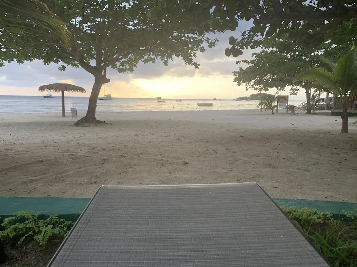 King Suite At Oceanview Resort In Jamaica - Enjoy 7 Miles Of White Sand Beach! نيغريل جامايكا