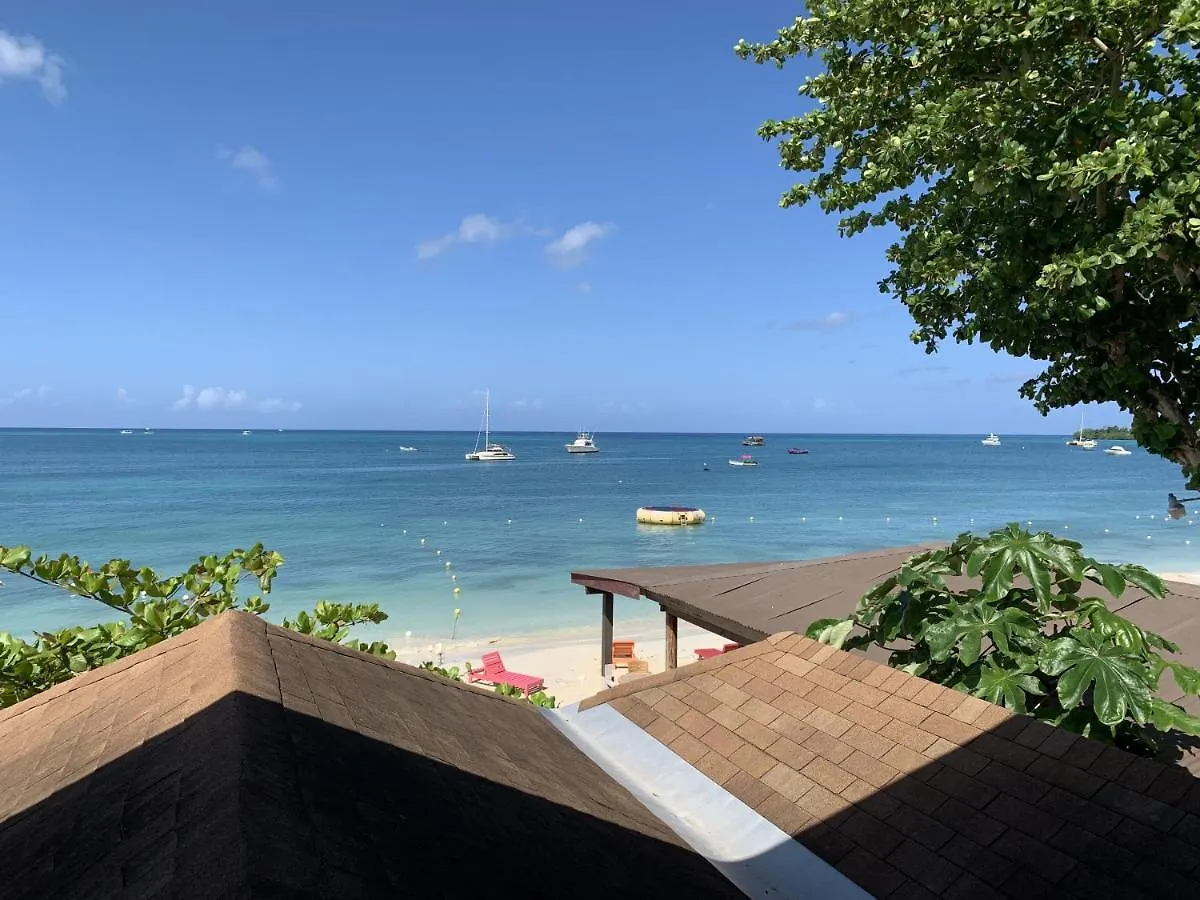 King Suite At Oceanview Resort In Jamaica - Enjoy 7 Miles Of White Sand Beach! Negril