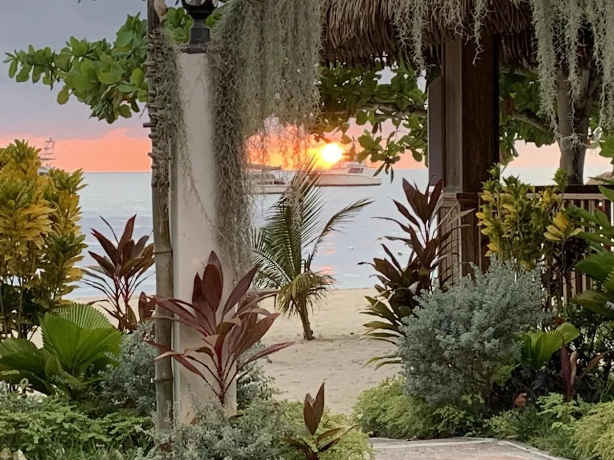 King Suite At Oceanview Resort In Jamaica - Enjoy 7 Miles Of White Sand Beach! Negril